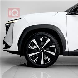Geely STARRAY
